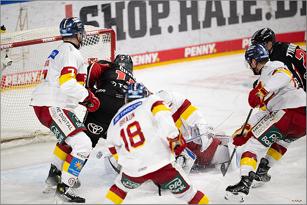 PENNY DEL 1; Kölner Haie - Düsseldorfer EG ; Köln, 16.02.2025